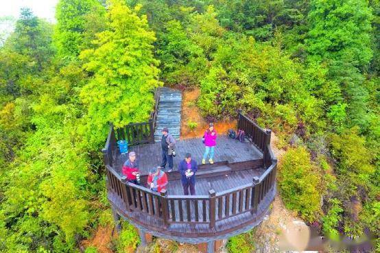 千亩杜鹃花海奇石无数江西信丰这个地质公园春日美如仙境