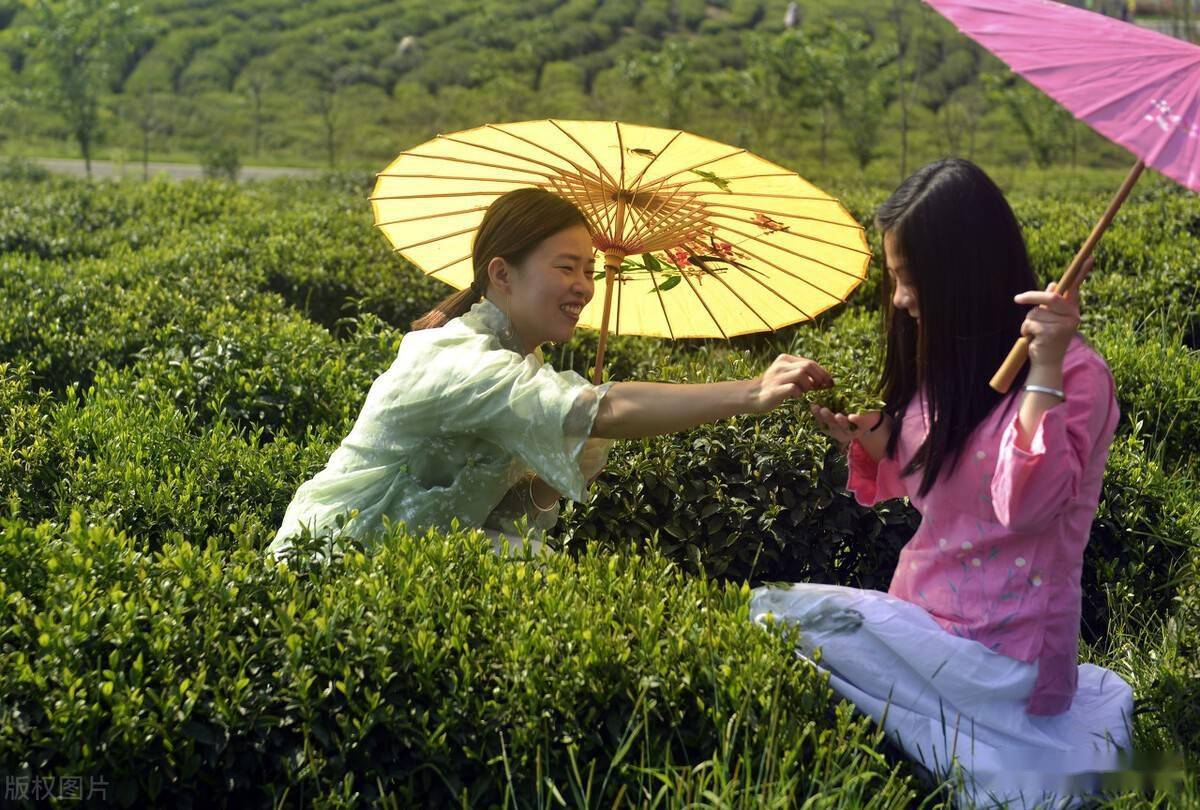 文章配图-6