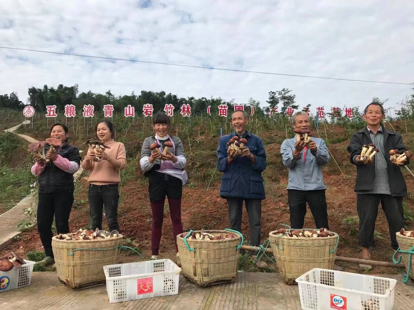 企业公民｜五粮液精准扶贫：企业优势和地方禀赋结合_理塘县