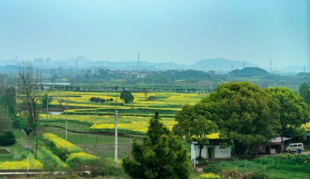 五卦山脚小山村李家境村,地处三国吴王古都鄂州市南郊"全国文明村镇"