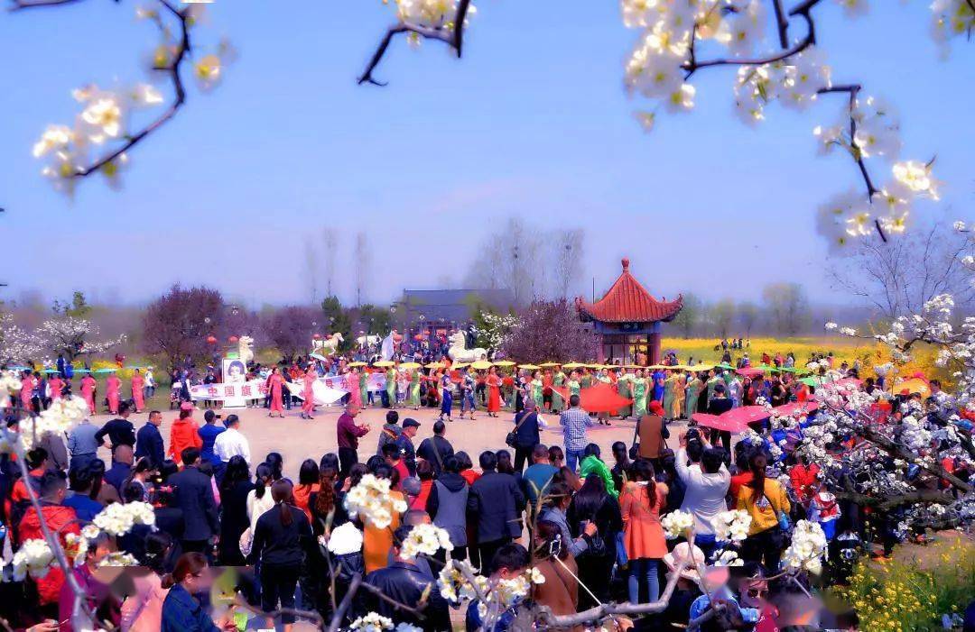春有约花不误快看中国丰县第22届梨花节开幕了