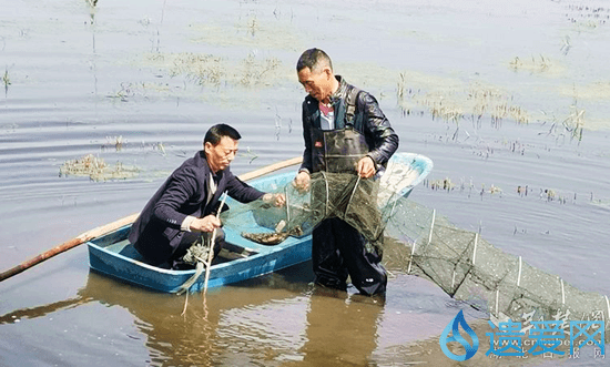 黄梅县小池镇 小龙虾 蹦 出乡村振兴路 程自力