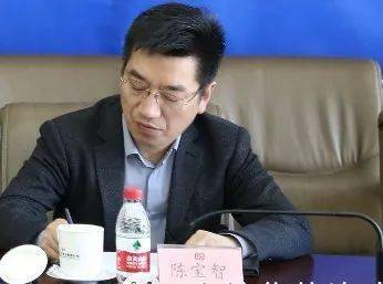 同时,陈宝智先生辞去公司副总