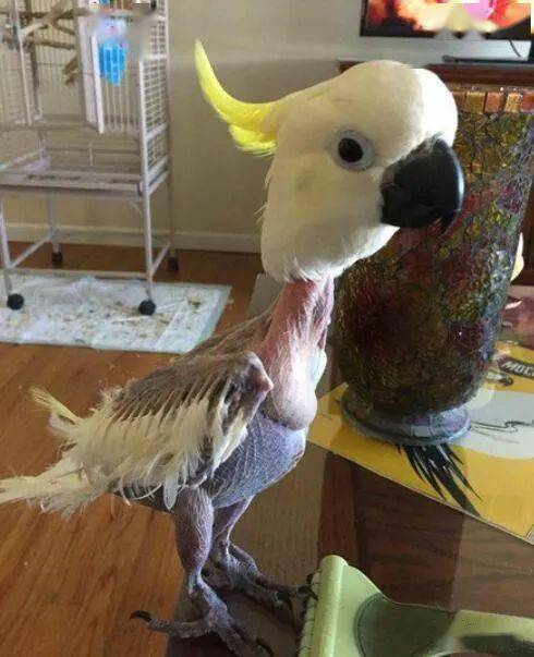 你能忍住不笑看到第几个?