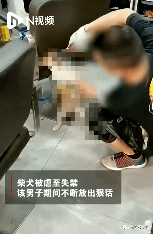 87953adb03a4454f9ae202662b704e42.png
