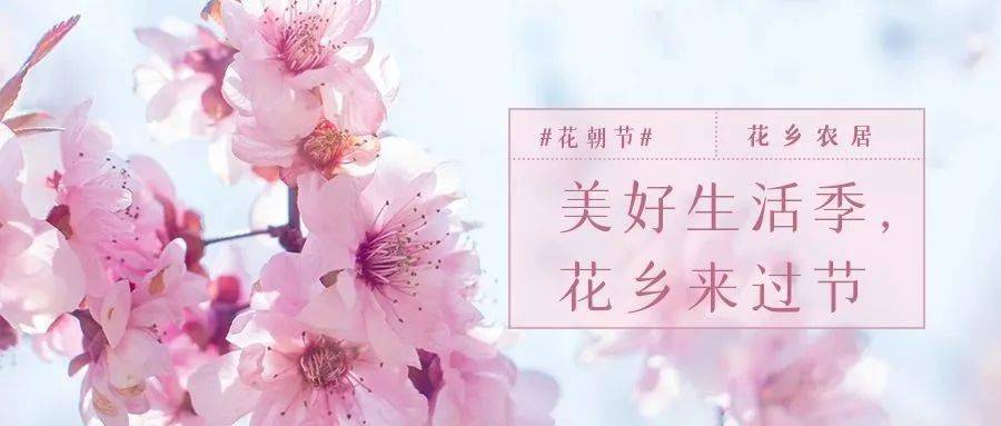 春满花乡 打卡三圣花朝节 收获春日好礼 作品