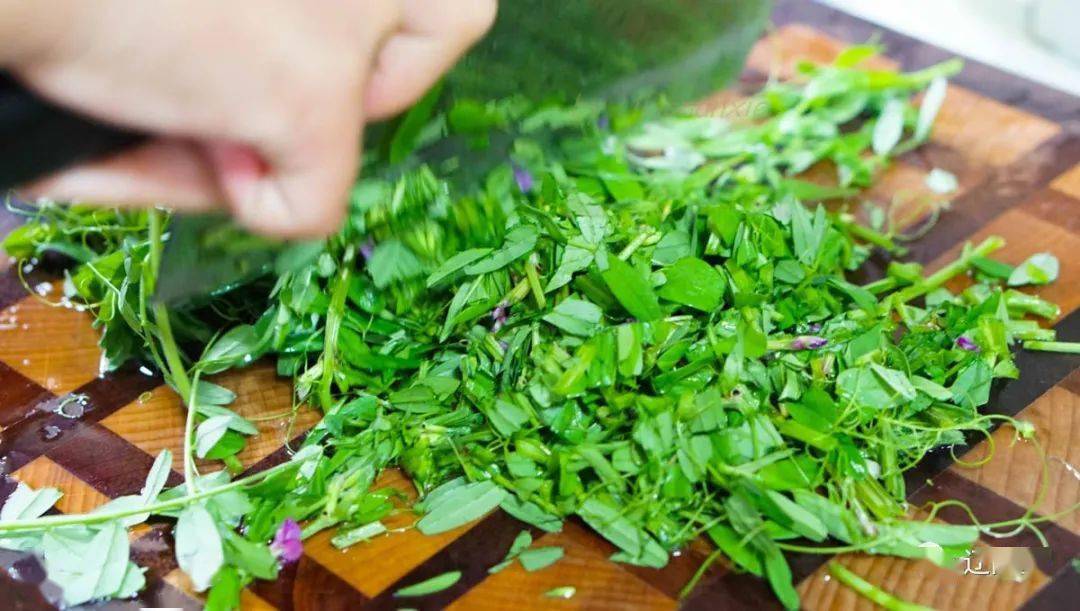 准备野豌豆尖一把,洗干净切碎备用.不需要焯水,切碎就可以了.