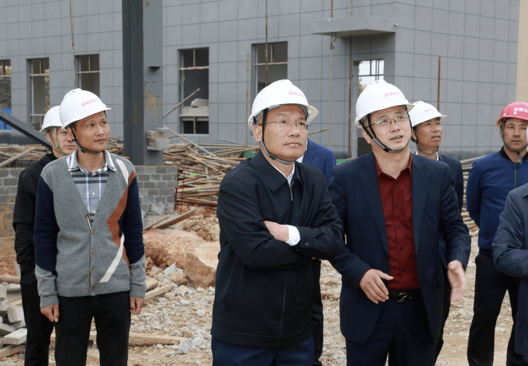 胡启生督导义安区集中开工重大项目建设情况_铜陵