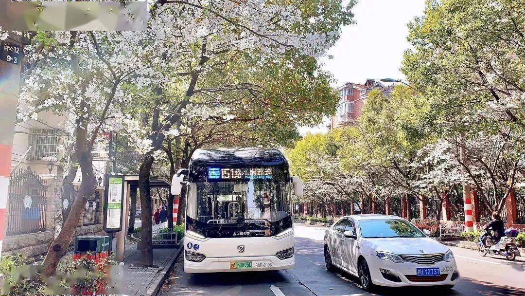 枢纽站就是这样特别的存在~沪上有几个樱花车站也能发现一份惊喜哦!