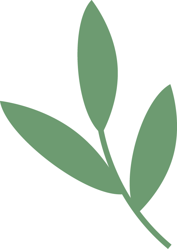 杂志精选 唐义兴县令陆士伦墓记考辨 陆据