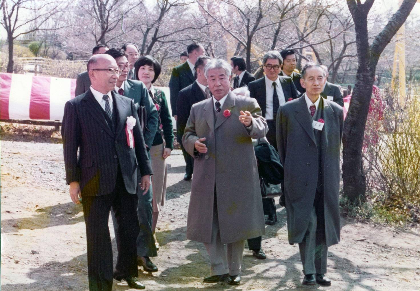 公木一棵参天大松树陈喜儒