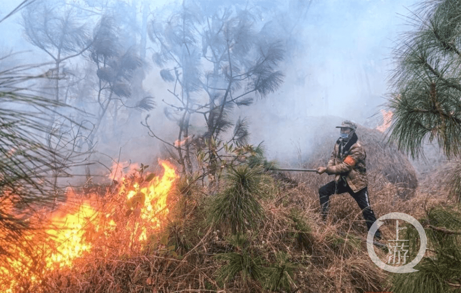 西昌"3·30"森林大火一周年:巨大压力下的防火绝地反击战_凉山