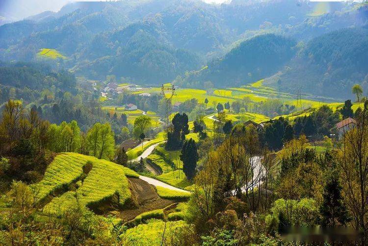 抓住三月的尾巴,找寻汉中大山里的春天