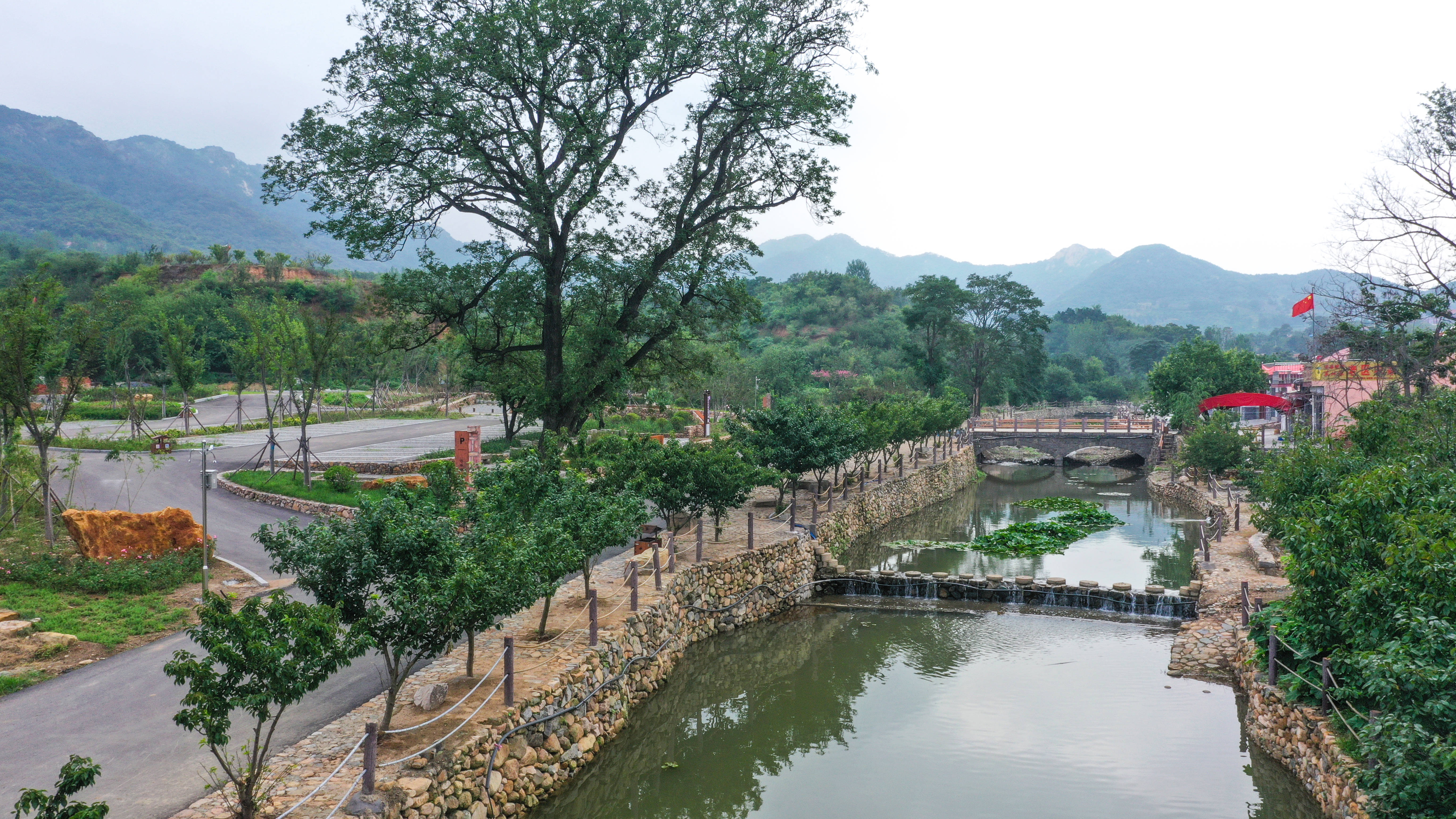 青岛杨家山里图片