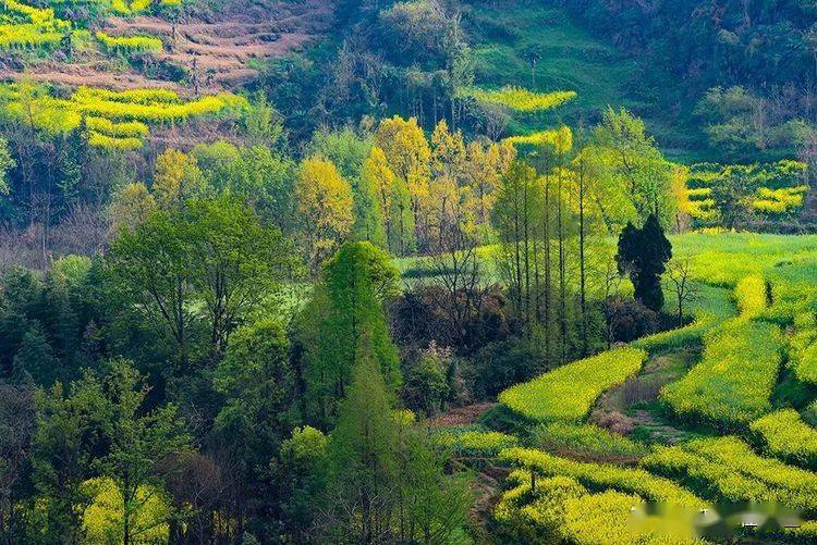 抓住三月的尾巴,找寻汉中大山里的春天