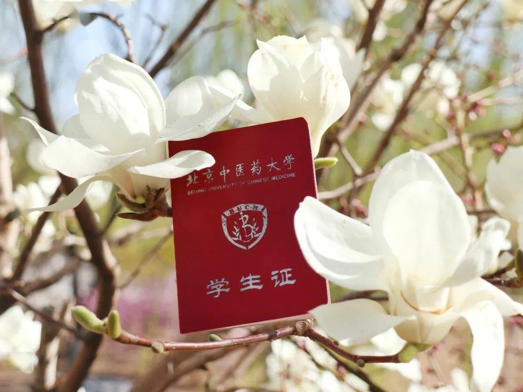 北京中医药大学学生证图片