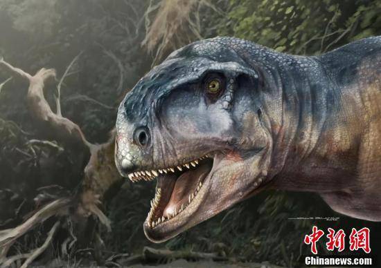 恐龙|南美洲发现新型食肉恐龙 灭绝前仍尝试进化