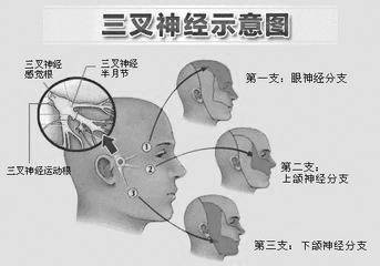 f2a2c06c919d43b092e7e9bd81e78bcc.jpeg