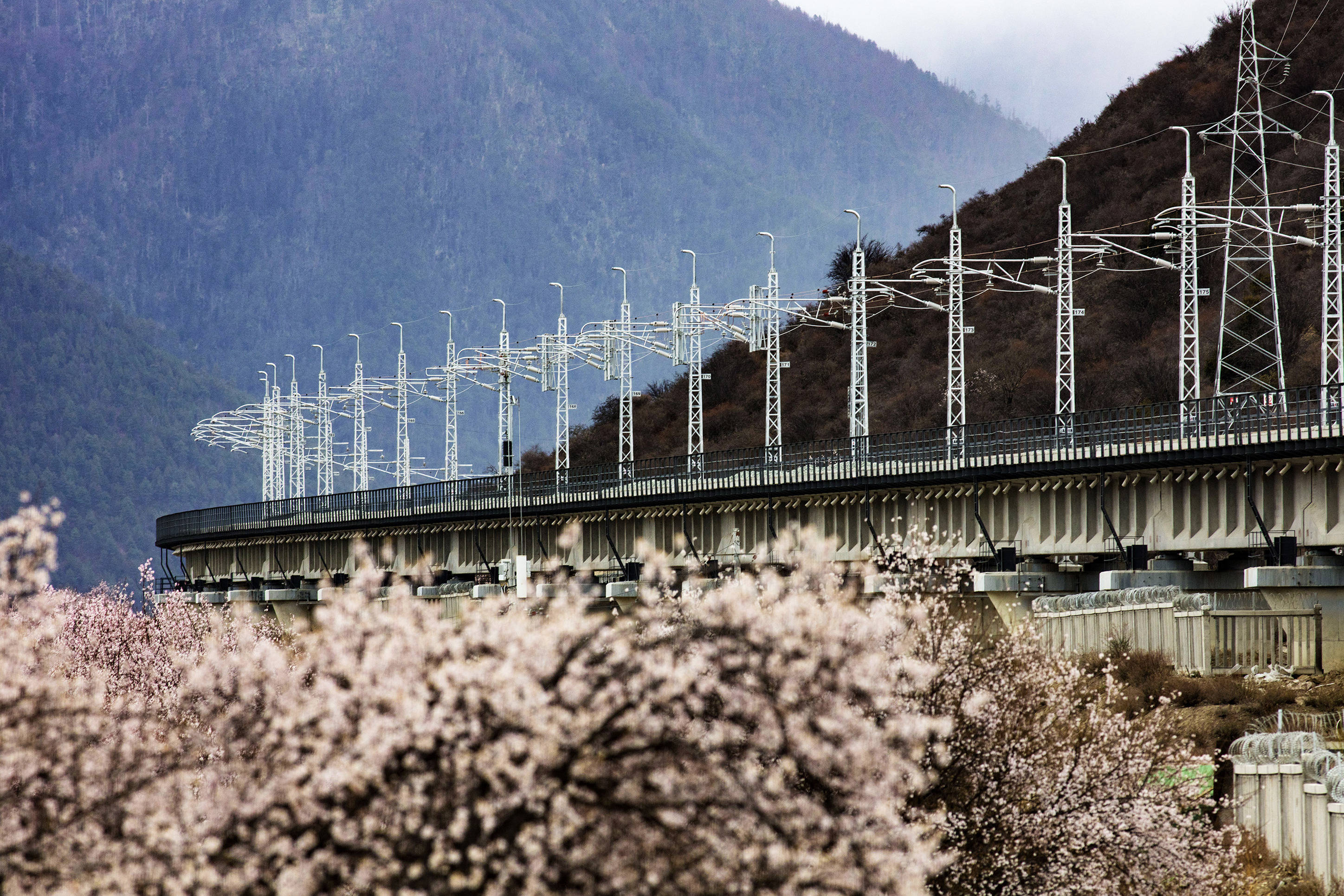 雅安林芝铁路图片