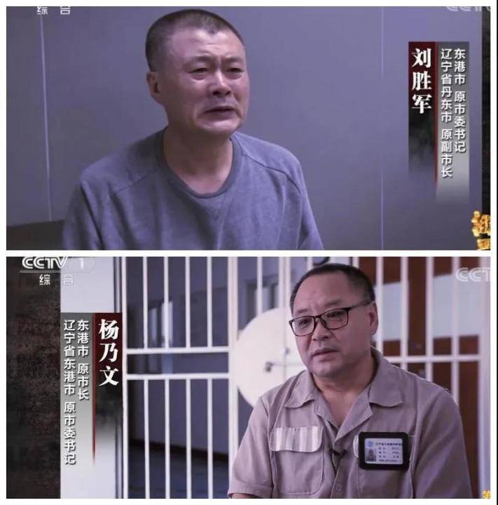 片中讲述了实施违法犯罪多达390起,被两任市委书记庇护的丹东宋氏兄弟