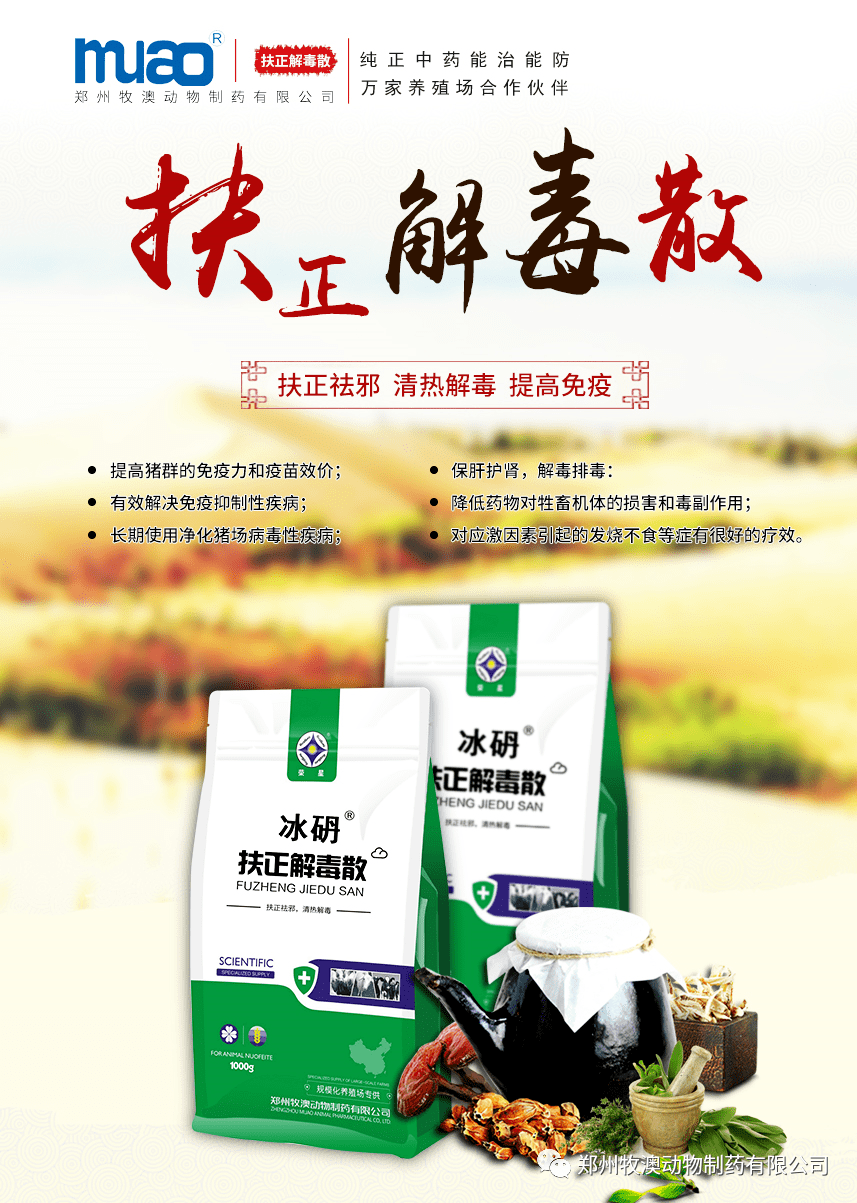 扶正解毒散的五大功效