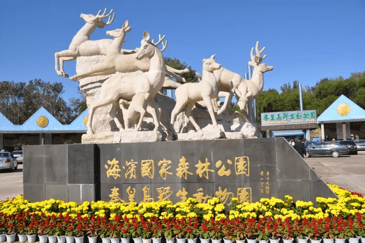 今天起秦皇岛野生动物园票价调整啦速看