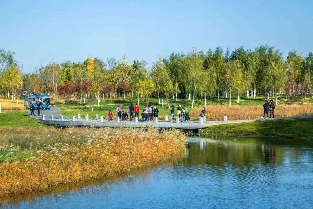 副中心的创森美景 春花篇_通州区