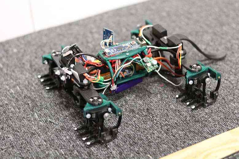 速度|科学家研发出仿生机器人 探索蜥蜴爬行原理