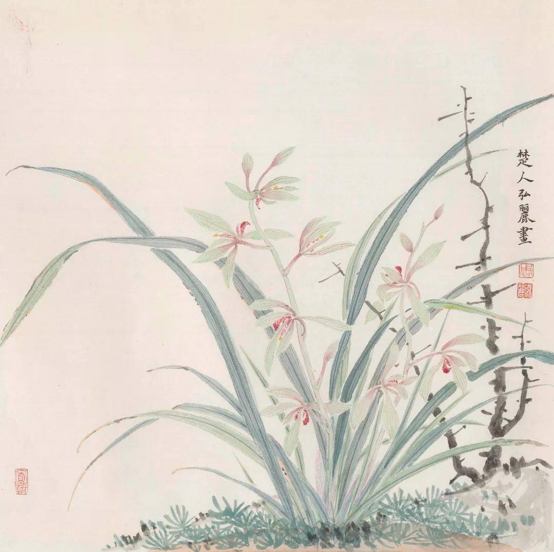 清丽雅致|周泓丽 工笔与没骨花鸟画赏析_作品