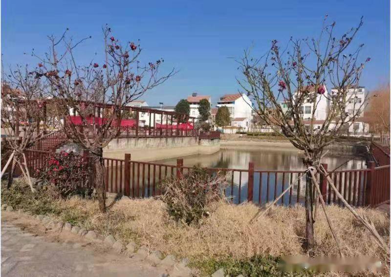 湖北应城天鹅镇接力跑好新一程