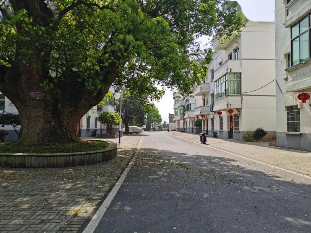 樟树市全面改善农村环境打造绿富美新农村