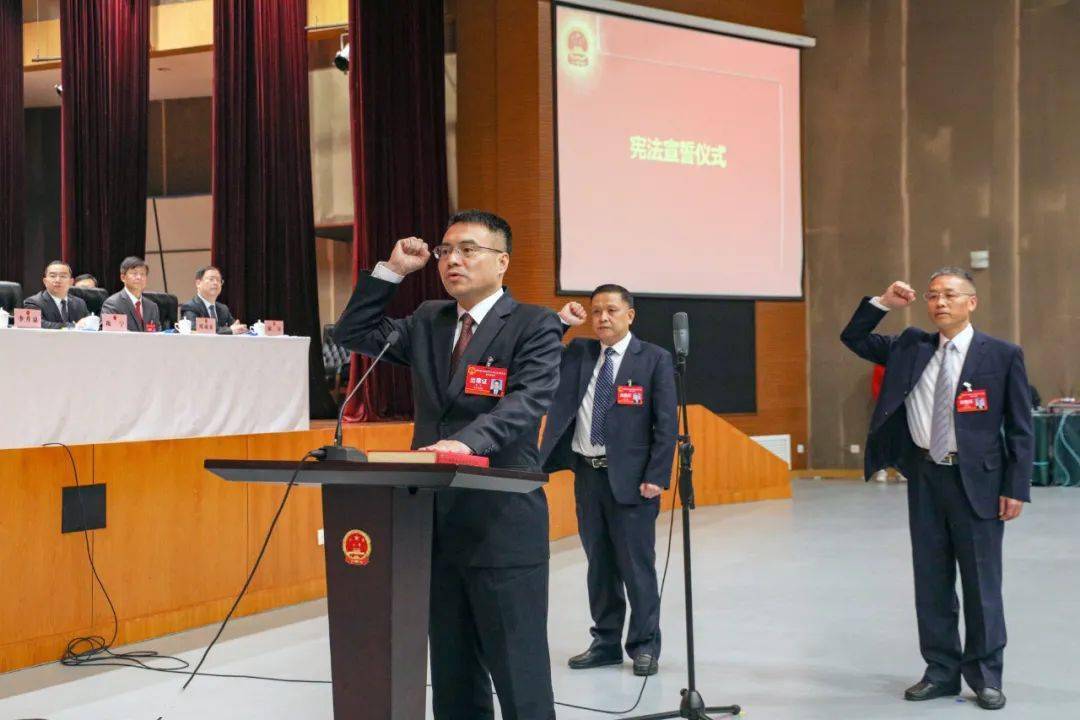 彭冲当选江北区监察委员会主任