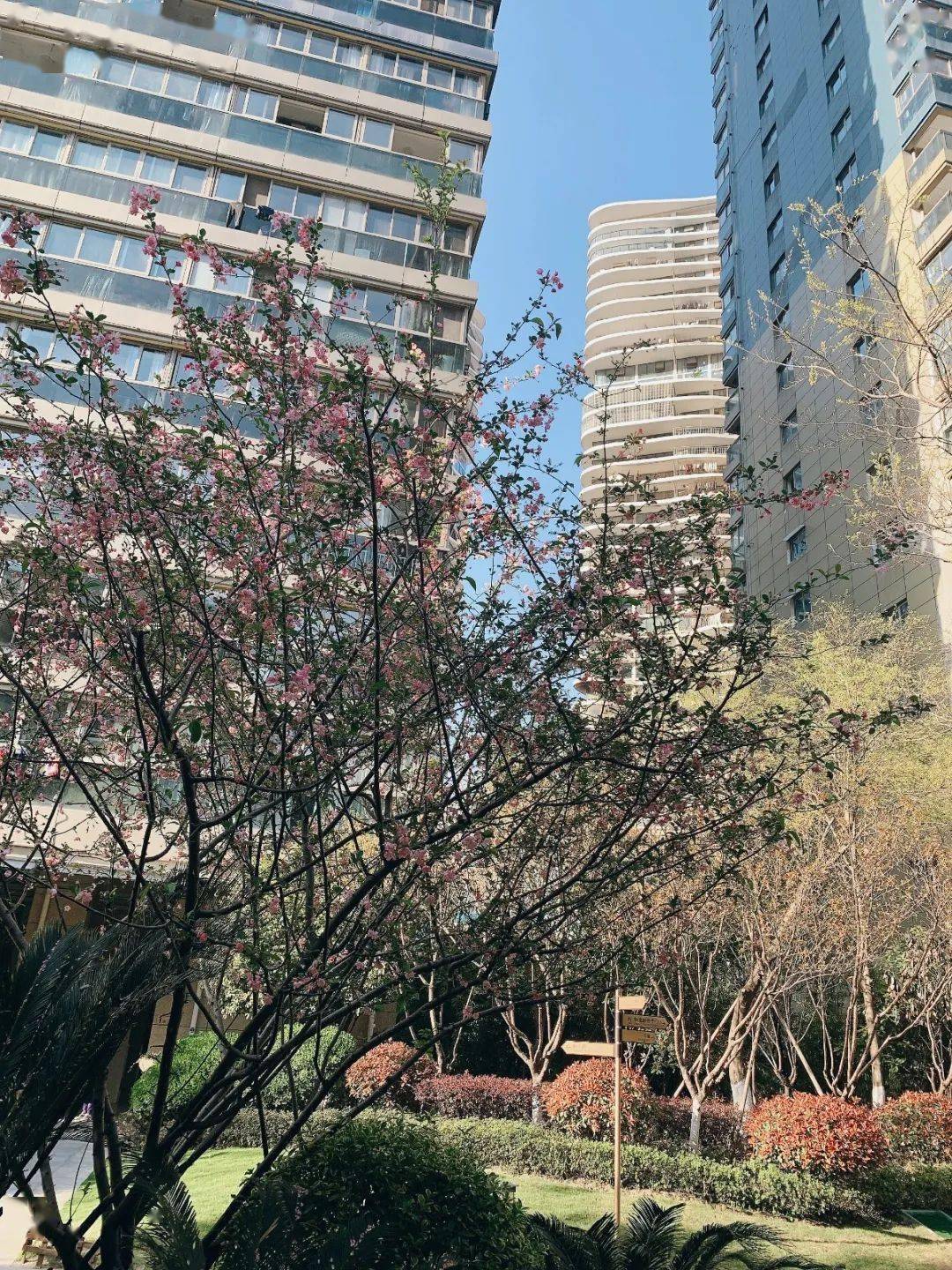 文章配图-162