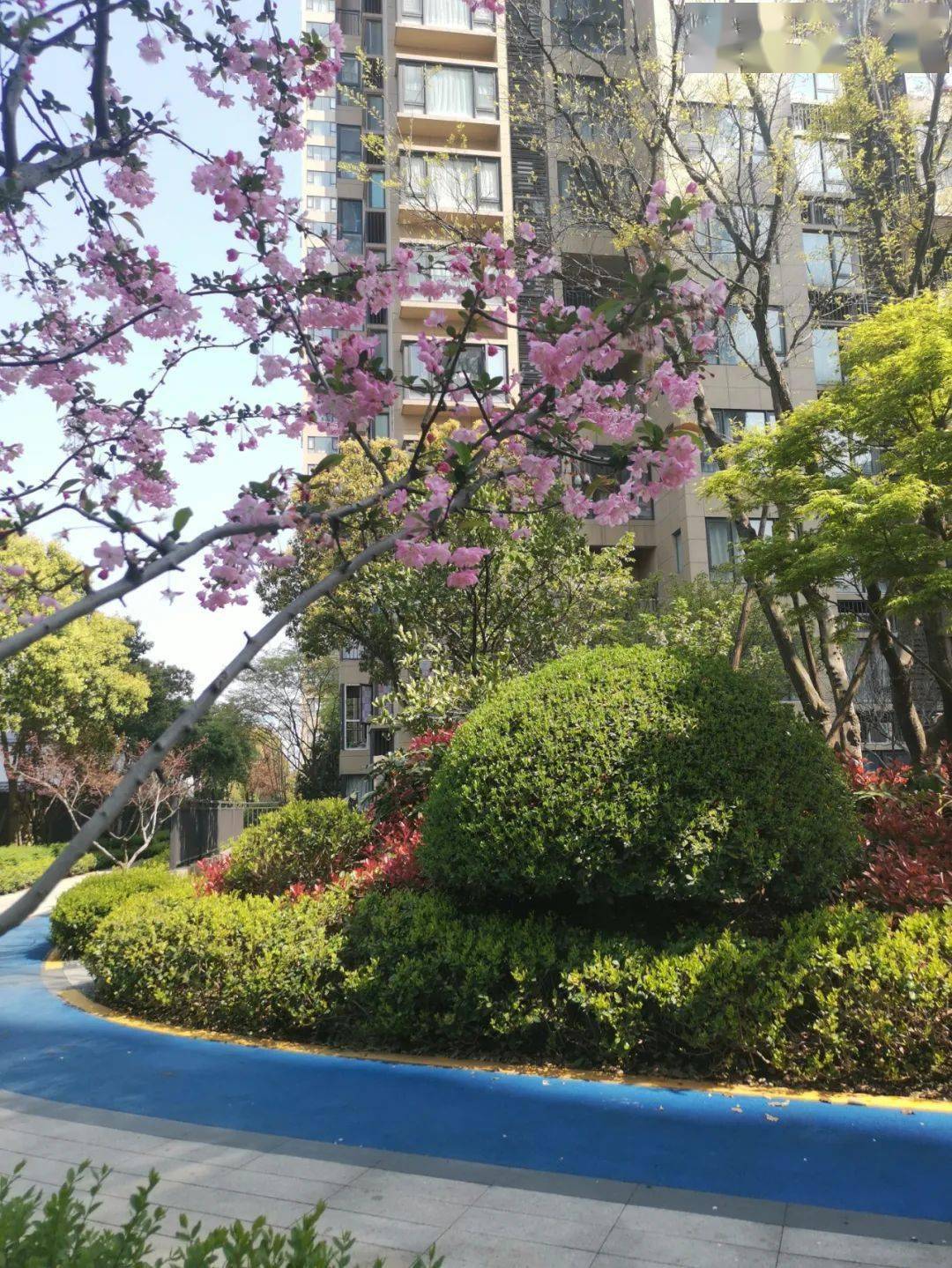 文章配图-25