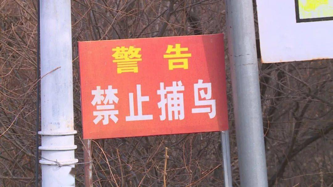 公园里到处可见禁止捕杀的告示牌,野生动物是人类的朋友,是大自然赋予