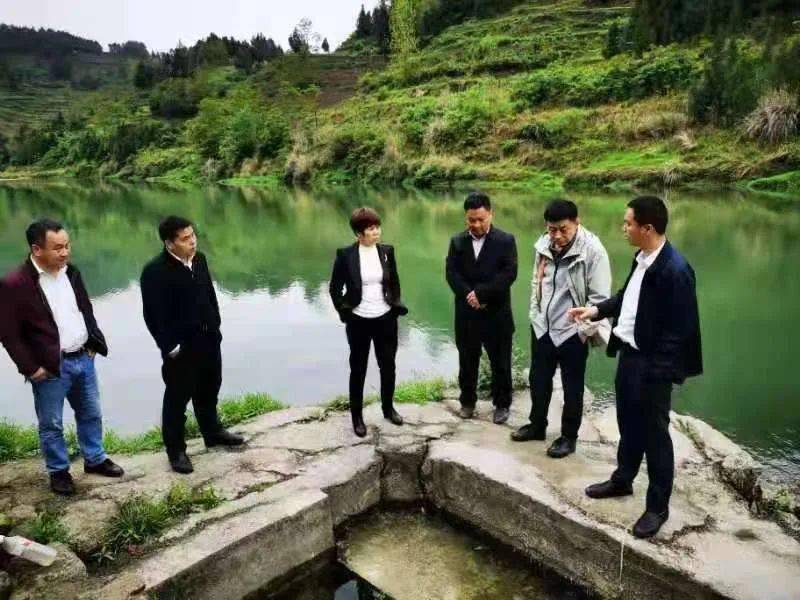 杨玲到大沙坝乡督导脱贫攻坚成果巩固提升防贫监测预警工作