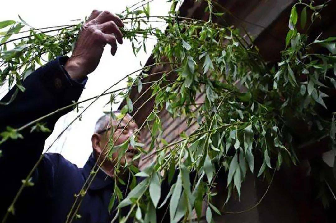 潮汕人为什么重视清明节?_天下