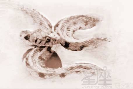 梦到蛇什么兆头周公解梦 fef583b6981940608d1e97d97577f980.jpeg