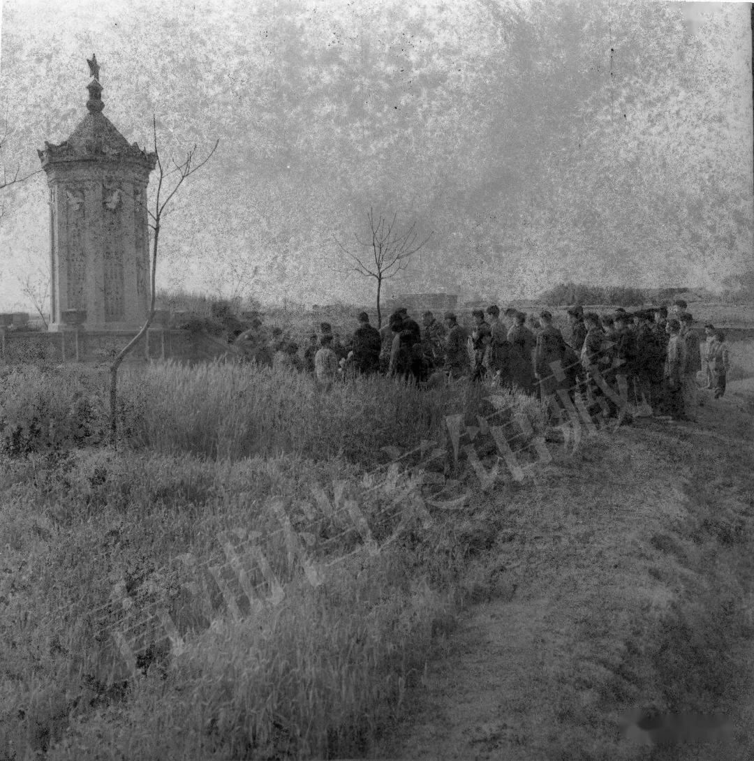 清明时节寻访青浦革命烈士陵园_东乡