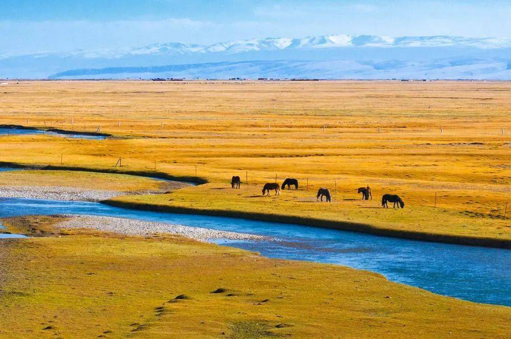 那么青海则是西部地区存在感最低的城市了;虽然青海的行政面积排在