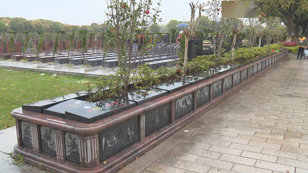 移风易俗 | 生态节地葬接受度逐渐提升,金山文明祭扫蔚然成风_公墓