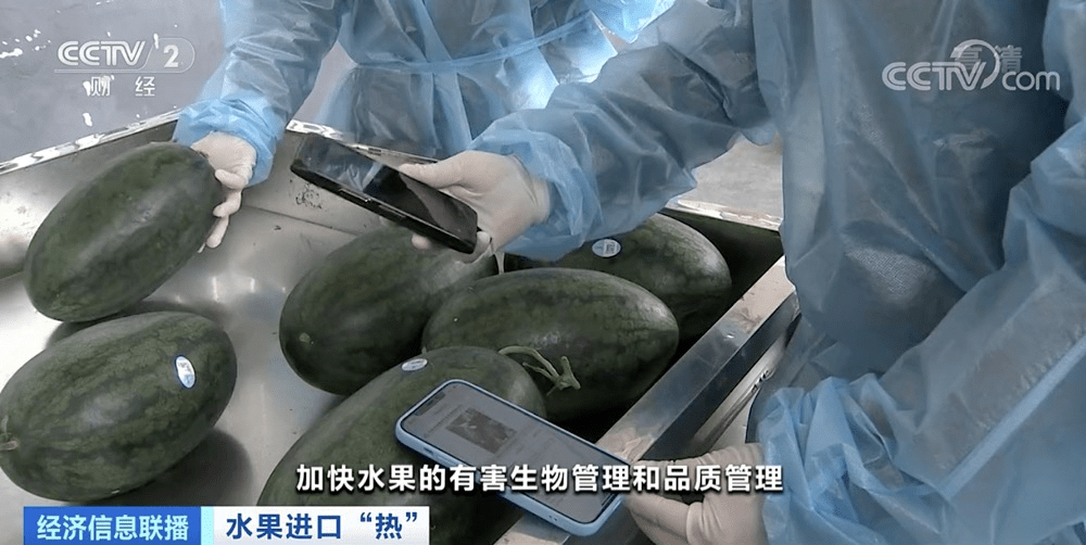 这种进口水果价格也降了连“果干”都卖爆了完美电竞(图3)