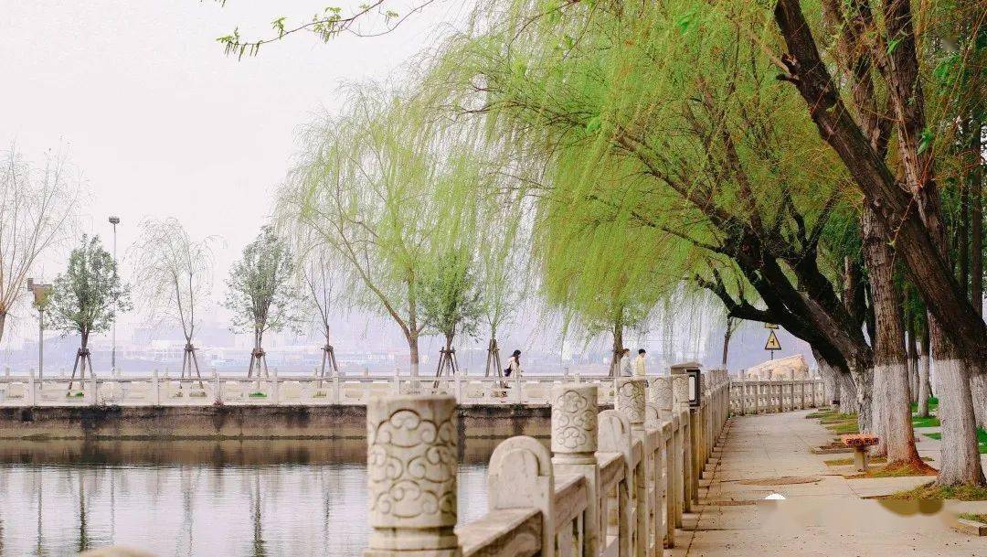 漫步在万条垂下绿丝绦的河堤上感受着沾衣欲湿杏花雨吹面不寒杨柳风的