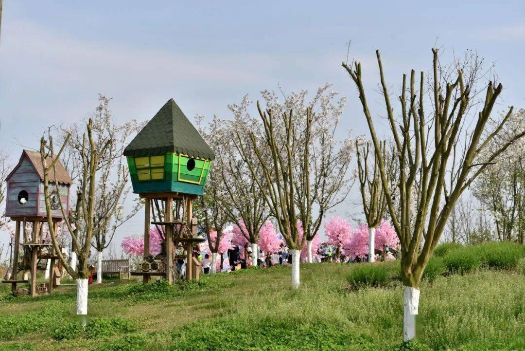 二木的"星球花园"徽派:可以给向往诗与远方的人一些建议吗?