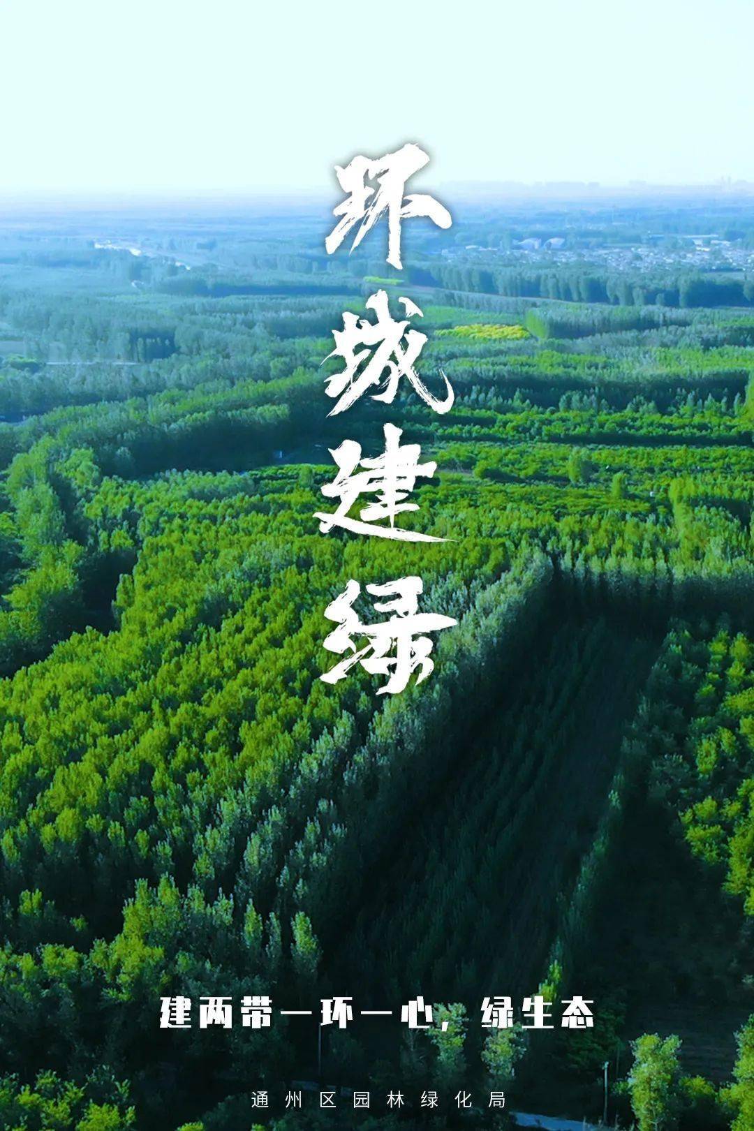 创建森林城市传承百年绿色通州区义务植树正当时