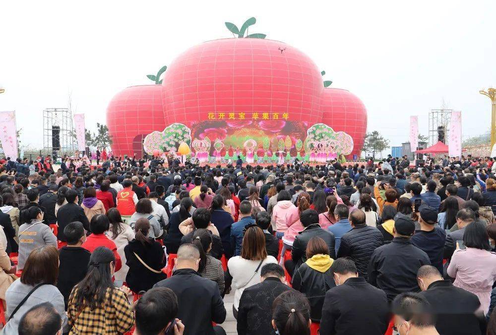聚焦第四届中国灵宝苹果花节开幕