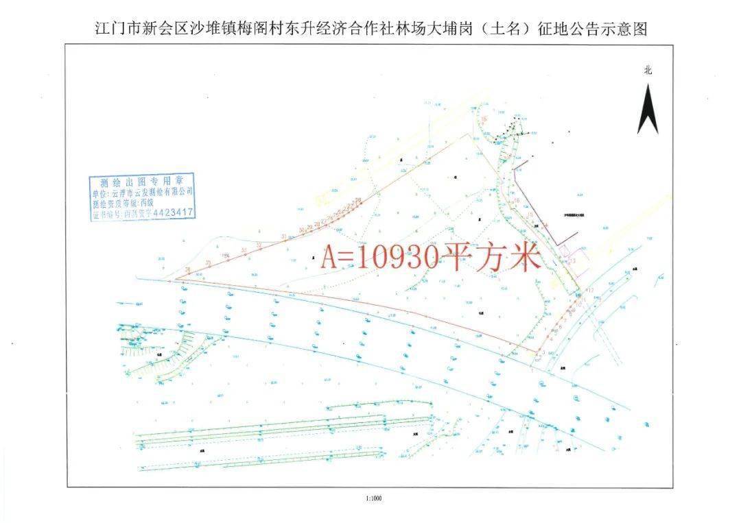 2020年三水区西南街道gdp_2020年三水迎春花市摊位12月14日 15日正式开投(3)