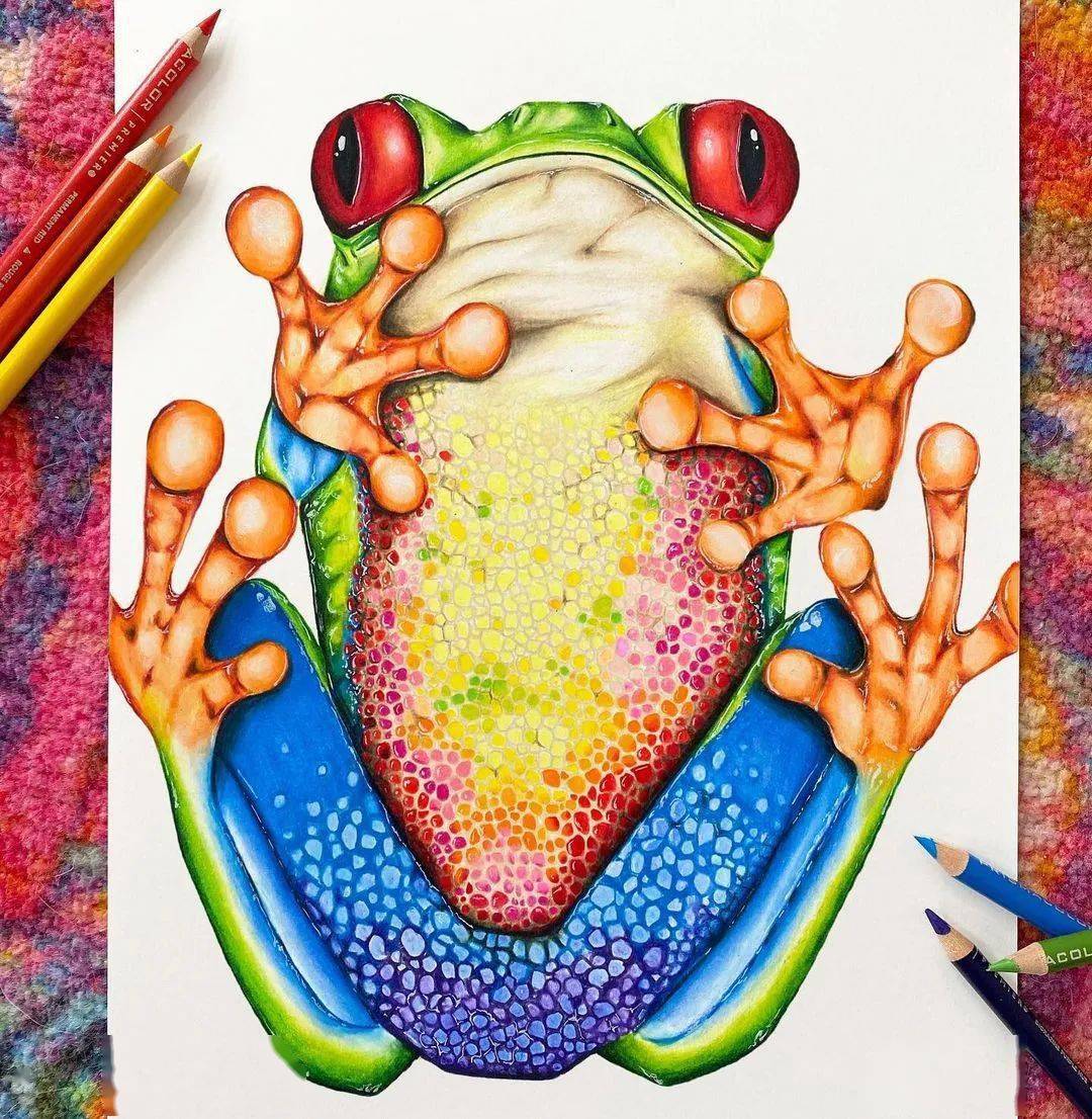 明快艳丽的彩铅手绘,这样的配色,绝了!_爱好者