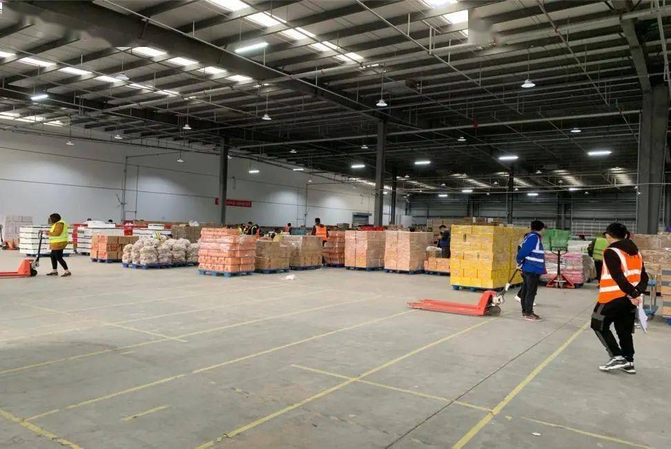 在菜市场给拼多多分菜,夫妻月赚一万七_批发商