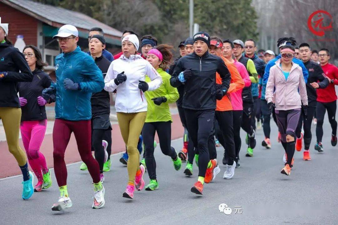 坚决不做吃瓜群众的夏夏在元大都快乐奔跑